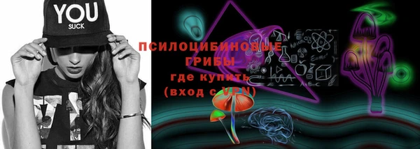 герыч Богородицк