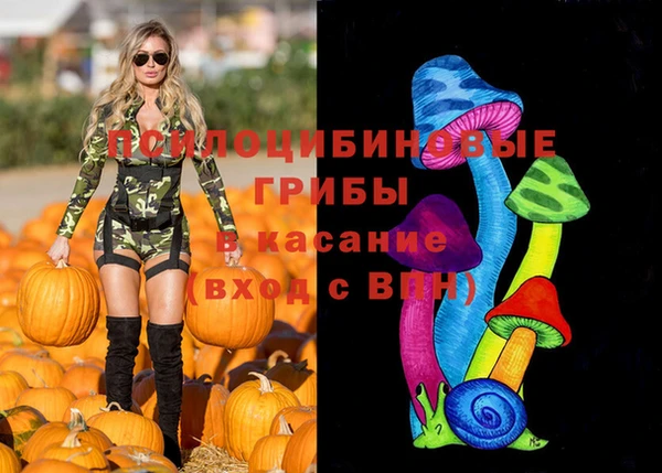ГАЛЛЮЦИНОГЕННЫЕ ГРИБЫ Богородск
