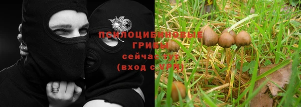 герыч Богородицк